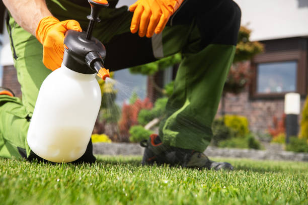 Best Best Pest Control Companies  in Potomac Park, CA