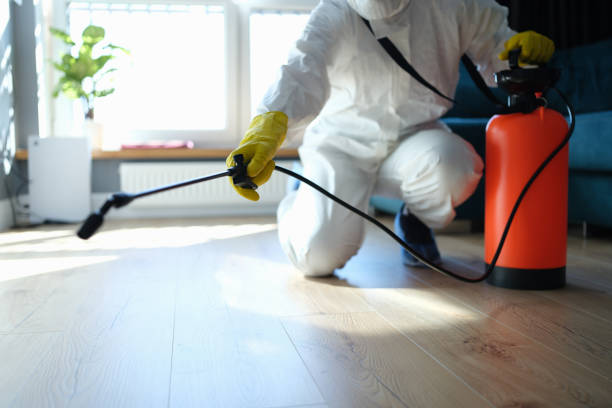 Best Local Pest Control Services  in Potomac Park, CA